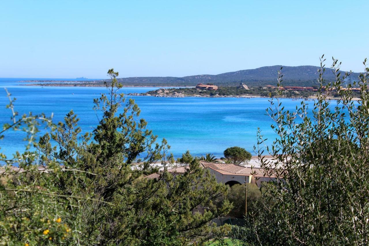 Casa Vacanze Il Cisto - Golfo Di Marinella Villa Porto Rotondo Buitenkant foto