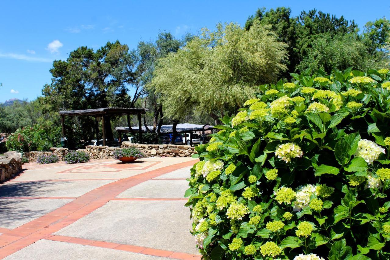 Casa Vacanze Il Cisto - Golfo Di Marinella Villa Porto Rotondo Buitenkant foto
